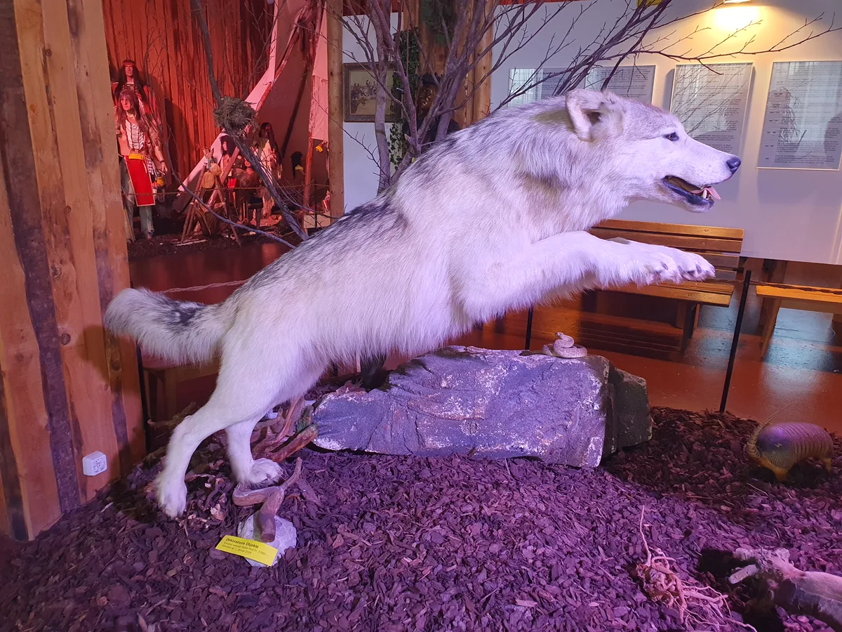 Impressionen vom Indian Land Museum in Gossau